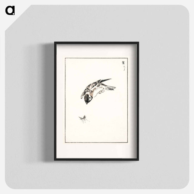 アートポスター-Sparrow Illustration
 - 鳥類図鑑 Poster.