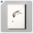 アートパネル-Sparrow Illustration
 - 鳥類図鑑 Canvas.