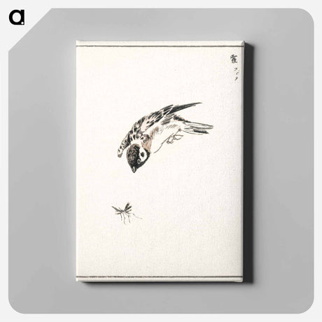 アートパネル-Sparrow Illustration
 - 鳥類図鑑 Canvas.