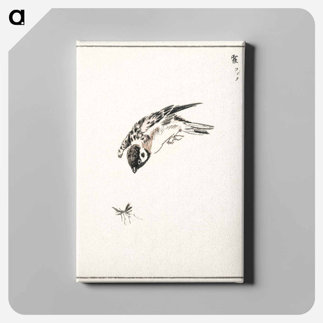 アートパネル-Sparrow Illustration
 - 鳥類図鑑 Canvas.