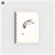 アートメモ帳-Sparrow Illustration
 - 鳥類図鑑 Memo.