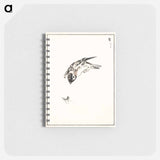 アートメモ帳-Sparrow Illustration
 - 鳥類図鑑 Memo.