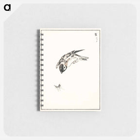 アートメモ帳-Sparrow Illustration
 - 鳥類図鑑 Memo.