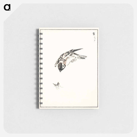 アートメモ帳-Sparrow Illustration
 - 鳥類図鑑 Memo.