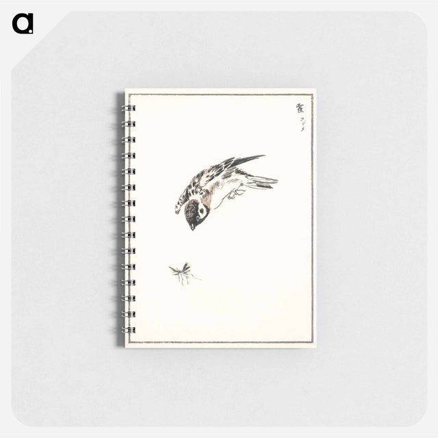 アートメモ帳-Sparrow Illustration
 - 鳥類図鑑 Memo.