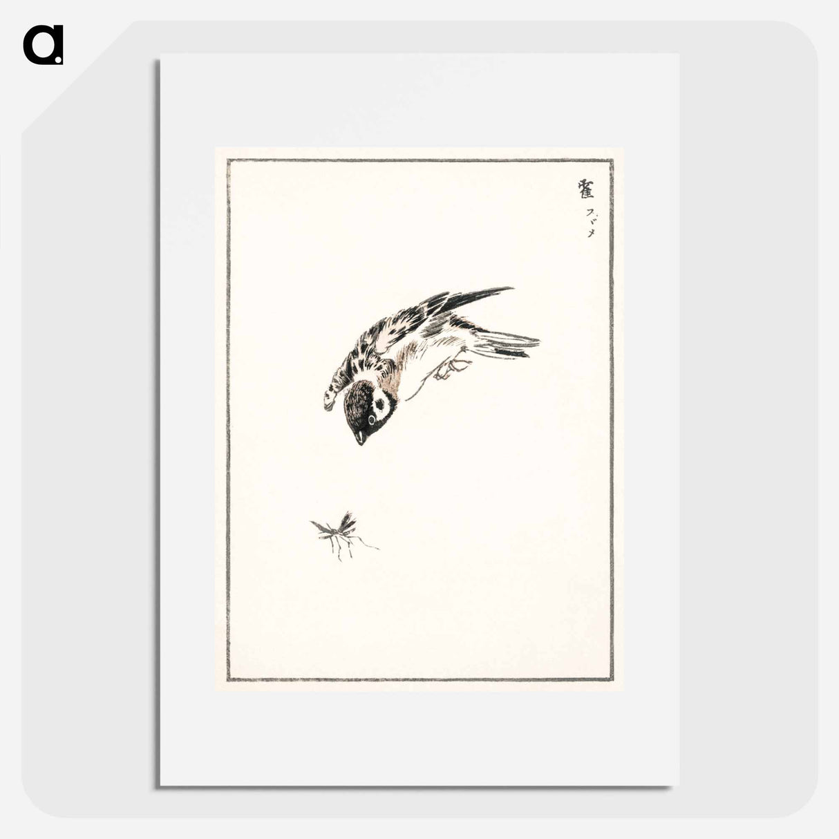 アートポスター-Sparrow Illustration
 - 鳥類図鑑 Poster.