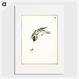 アートポスター-Sparrow Illustration
 - 鳥類図鑑 Poster.