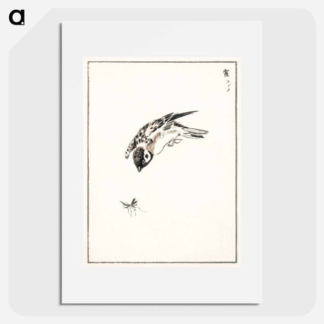 アートポスター-Sparrow Illustration
 - 鳥類図鑑 Poster.