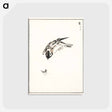 アートポストカード-Sparrow Illustration
 - 鳥類図鑑 Postcard.