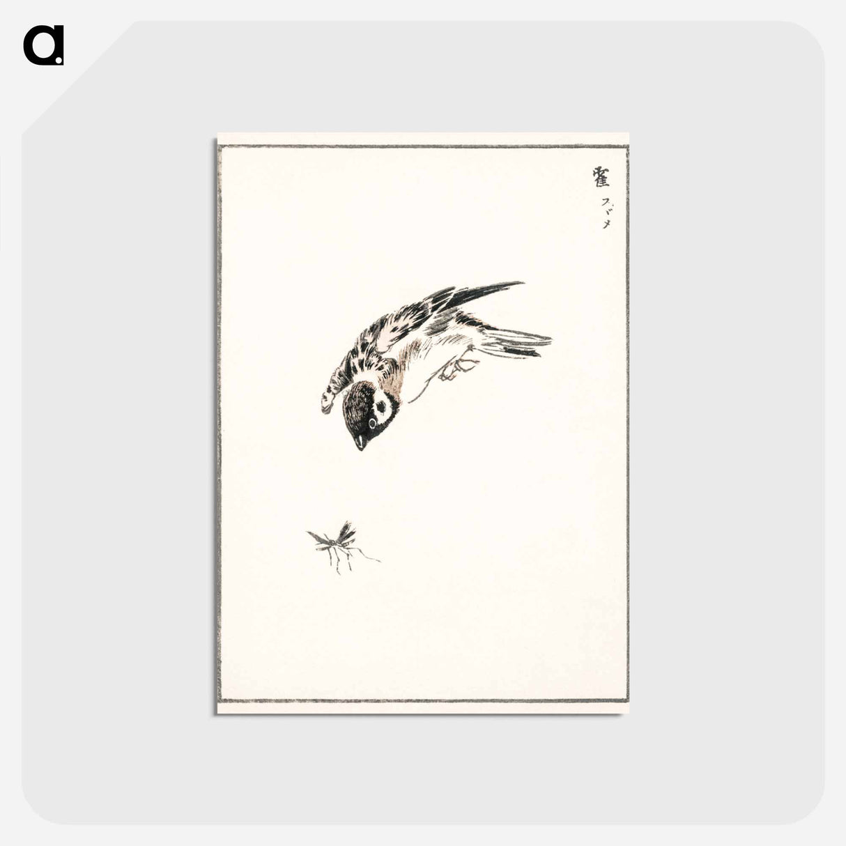 アートポストカード-Sparrow Illustration
 - 鳥類図鑑 Postcard.