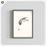 1-66_Pictorial-Monograph-of-Birds_blk-crop