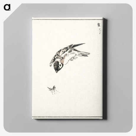 1-66_Pictorial-Monograph-of-Birds_canvas