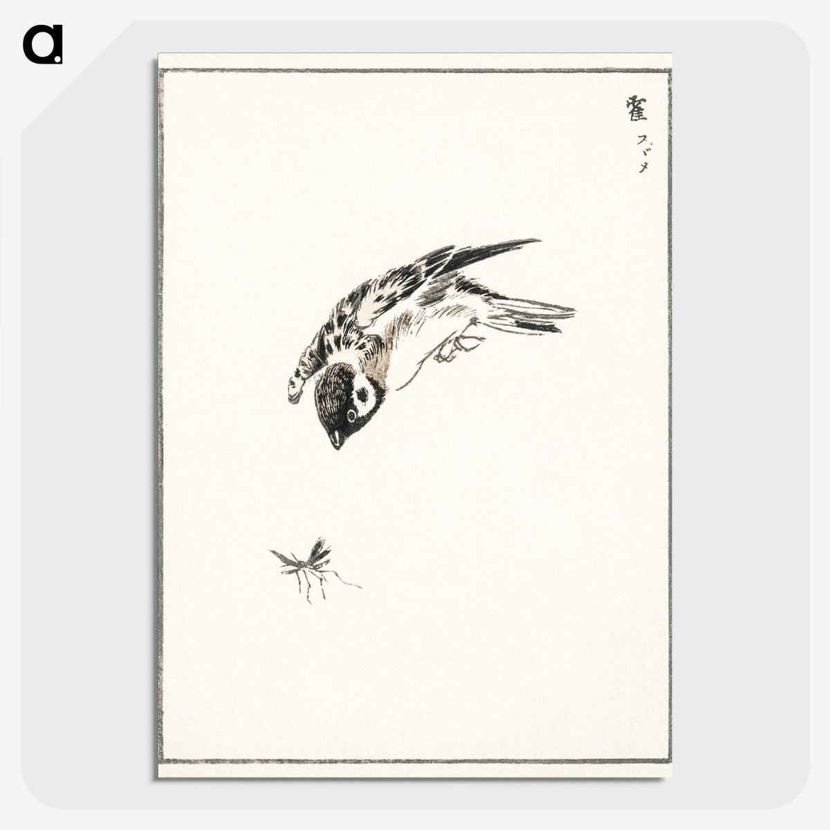 1-66_Pictorial-Monograph-of-Birds_picture-crop