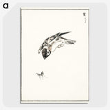 1-66_Pictorial-Monograph-of-Birds_picture-crop