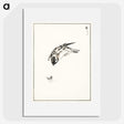 1-66_Pictorial-Monograph-of-Birds_picture