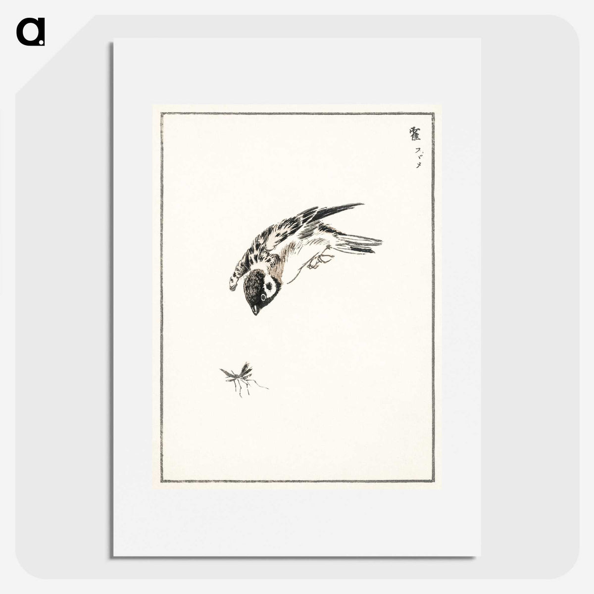 1-66_Pictorial-Monograph-of-Birds_picture