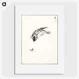 1-66_Pictorial-Monograph-of-Birds_picture