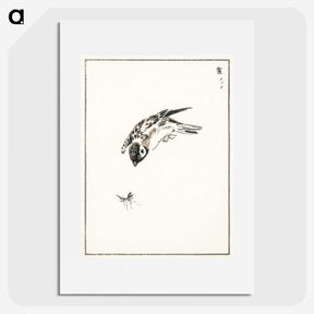 1-66_Pictorial-Monograph-of-Birds_picture