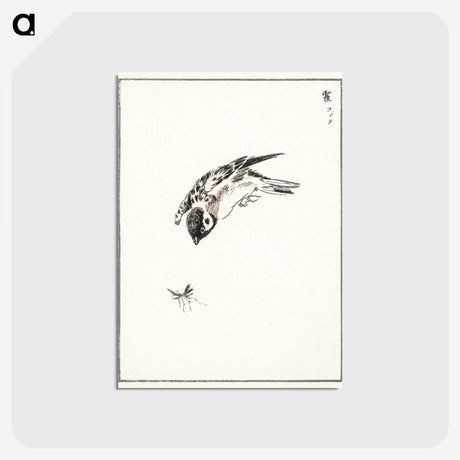 1-66_Pictorial-Monograph-of-Birds_postcard