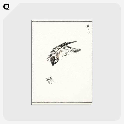 鳥類図譜：スズメのイラスト - 鳥類図鑑 Postcard.