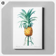 アートパネル-Pineapple illustration - ピエール ジョゼフ ルドゥーテ Canvas.