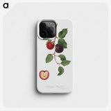 1-66_Pomona-Italiana_phone