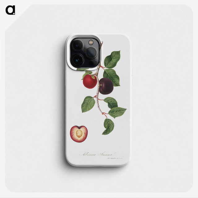 1-66_Pomona-Italiana_phone