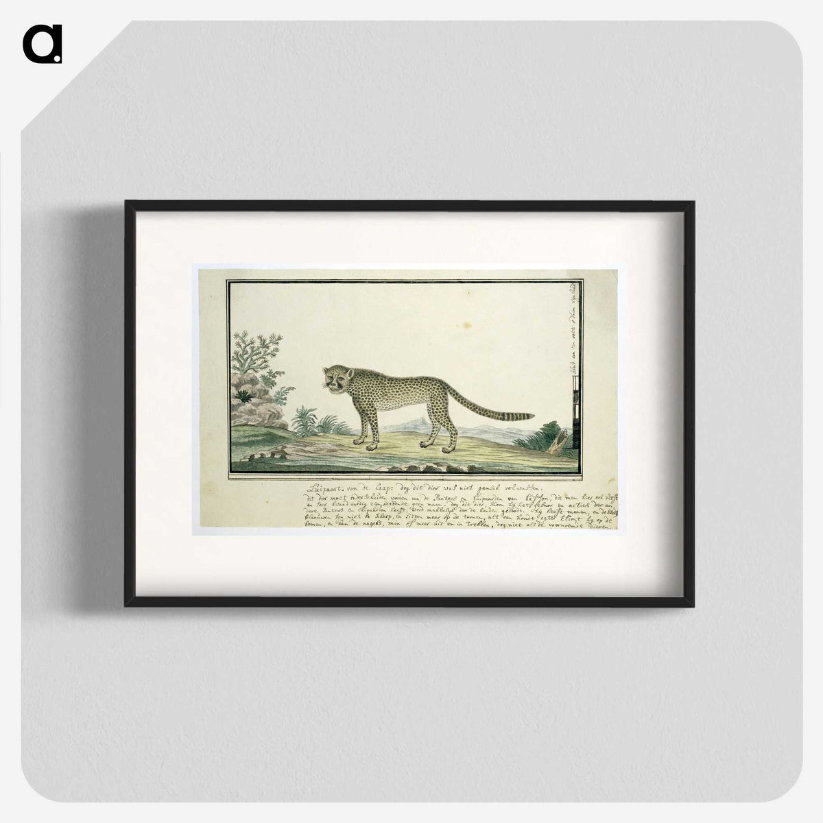 1-66_Robert-Jacob-Gordon_blk