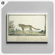 1-66_Robert-Jacob-Gordon_canvas