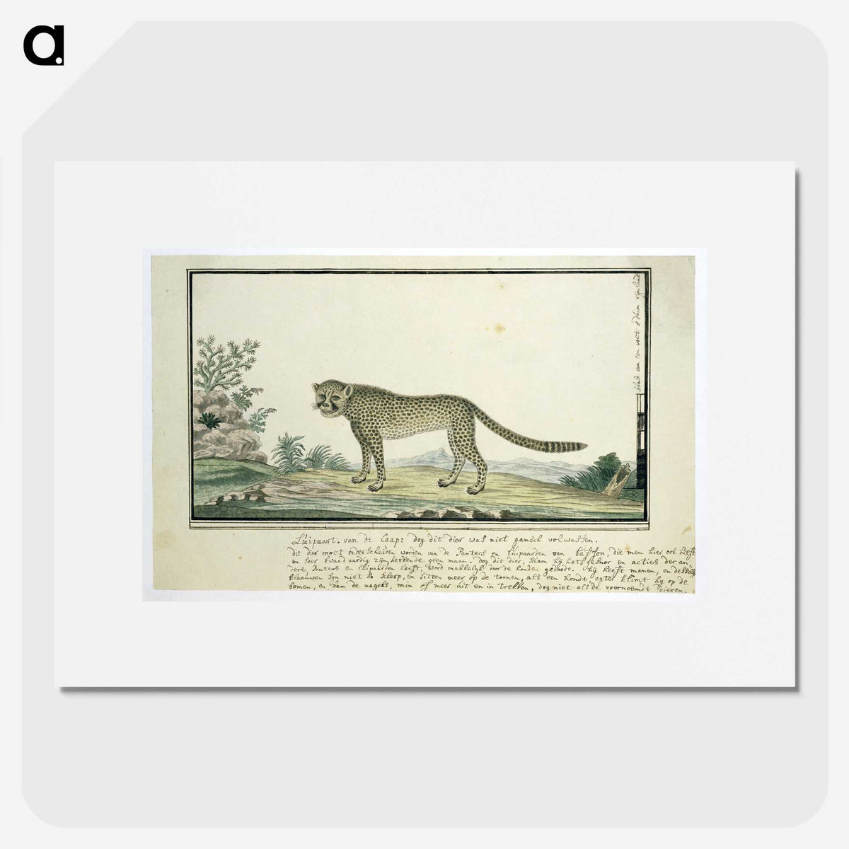 1-66_Robert-Jacob-Gordon_picture