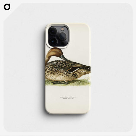 1-66_Svenska-Faglar_phone