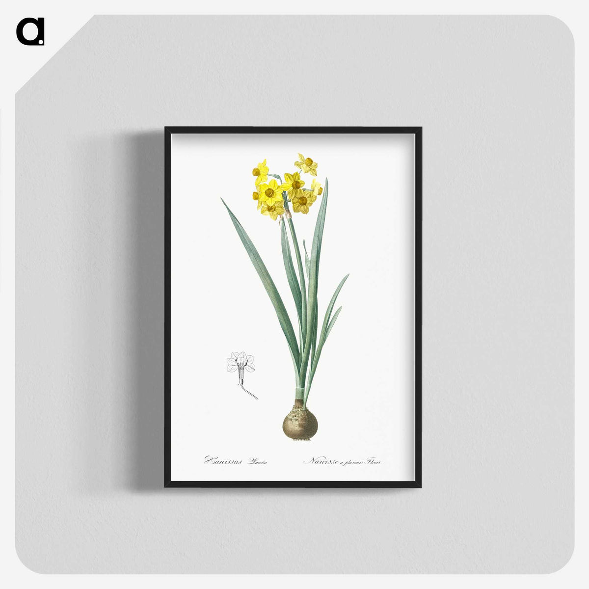 1-66_The-Lilies_blk-crop