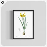 1-66_The-Lilies_blk-crop