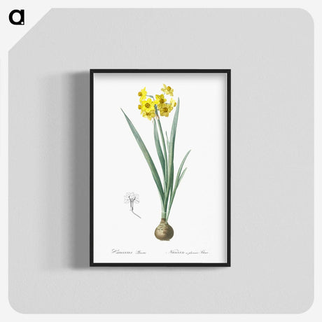 1-66_The-Lilies_blk-crop