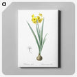 1-66_The-Lilies_canvas