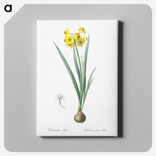 1-66_The-Lilies_canvas