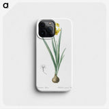 1-66_The-Lilies_phone