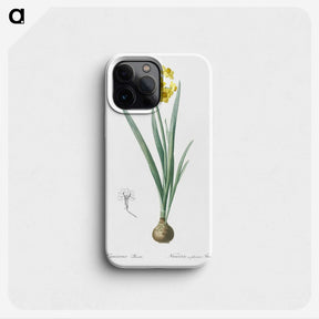 1-66_The-Lilies_phone