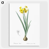 1-66_The-Lilies_picture-crop