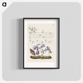 アートポスター-Scarlet Tiger Moth, Larkspur, Insect, and Caterpillar from Mira Calligraphiae Monumenta
 - 書道のお手本 Poster.