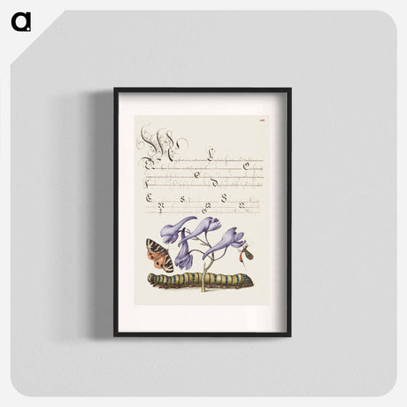 アートポスター-Scarlet Tiger Moth, Larkspur, Insect, and Caterpillar from Mira Calligraphiae Monumenta
 - 書道のお手本 Poster.