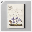 アートパネル-Scarlet Tiger Moth, Larkspur, Insect, and Caterpillar from Mira Calligraphiae Monumenta
 - 書道のお手本 Canvas.