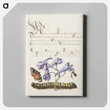 アートパネル-Scarlet Tiger Moth, Larkspur, Insect, and Caterpillar from Mira Calligraphiae Monumenta
 - 書道のお手本 Canvas.