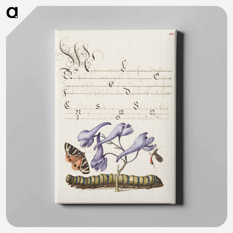 アートパネル-Scarlet Tiger Moth, Larkspur, Insect, and Caterpillar from Mira Calligraphiae Monumenta
 - 書道のお手本 Canvas.