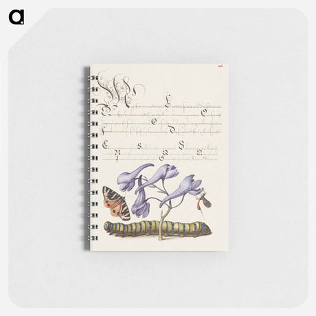 アートメモ帳-Scarlet Tiger Moth, Larkspur, Insect, and Caterpillar from Mira Calligraphiae Monumenta
 - 書道のお手本 Memo.