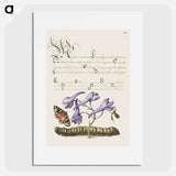 アートポスター-Scarlet Tiger Moth, Larkspur, Insect, and Caterpillar from Mira Calligraphiae Monumenta
 - 書道のお手本 Poster.