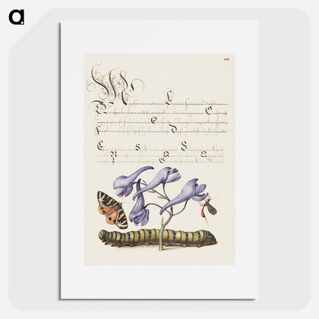 アートポスター-Scarlet Tiger Moth, Larkspur, Insect, and Caterpillar from Mira Calligraphiae Monumenta
 - 書道のお手本 Poster.