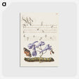 アートポストカード-Scarlet Tiger Moth, Larkspur, Insect, and Caterpillar from Mira Calligraphiae Monumenta
 - 書道のお手本 Postcard.