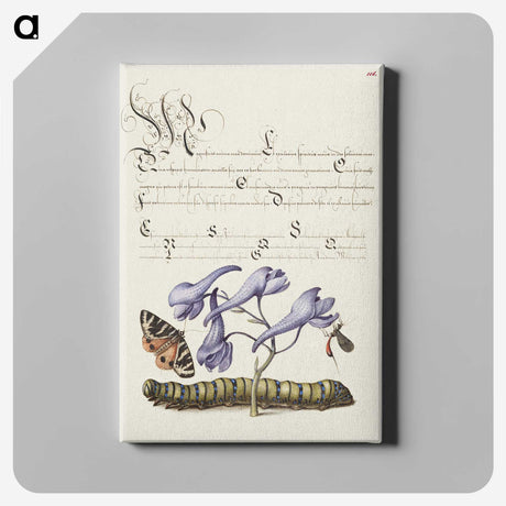 1-66_The-Model-Book-of-Calligraphy_canvas