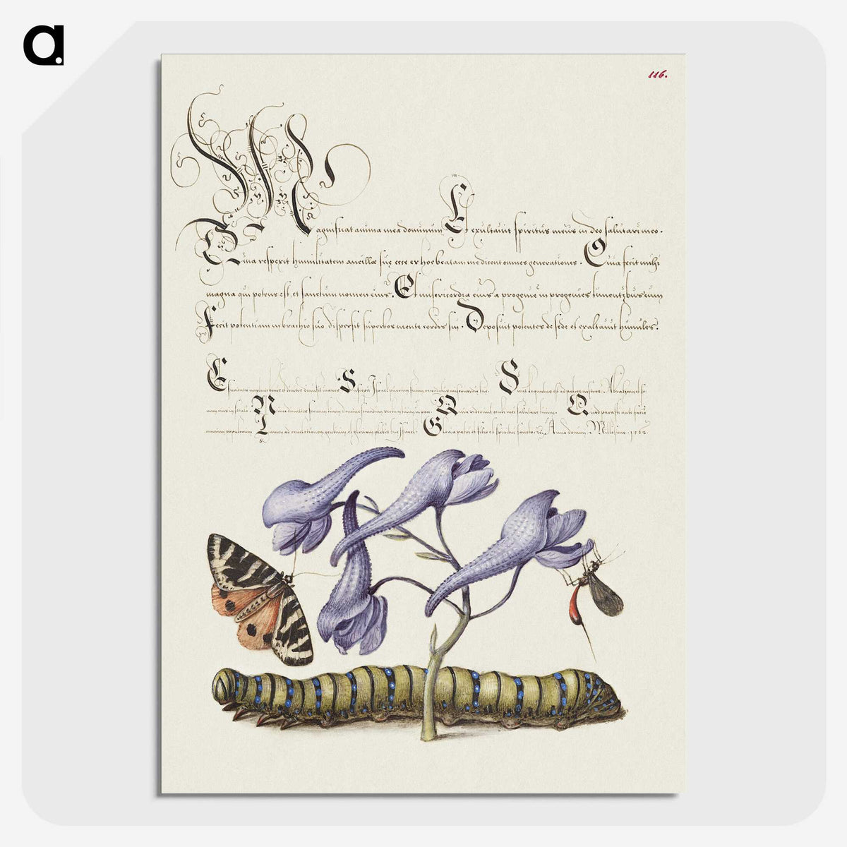 1-66_The-Model-Book-of-Calligraphy_picture-crop